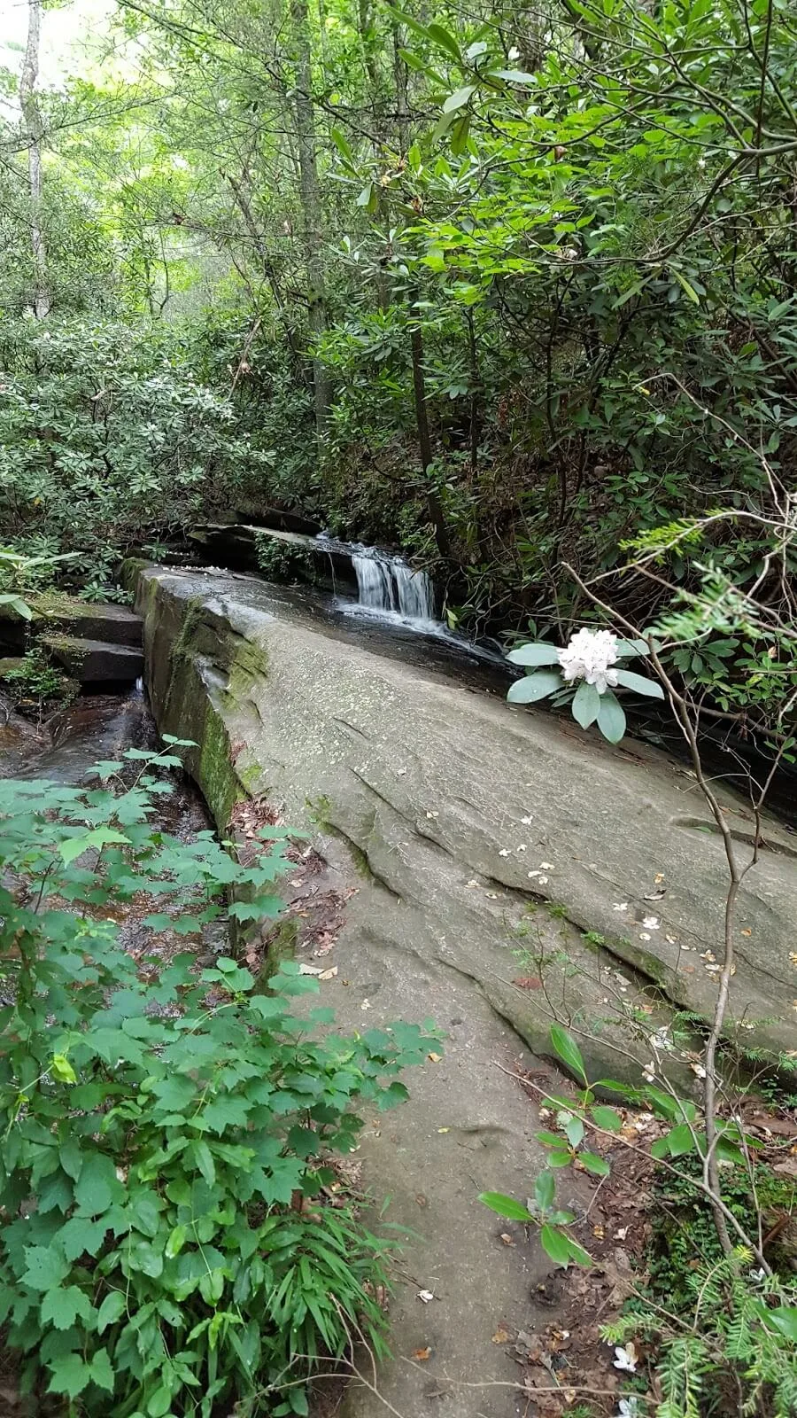 Interesting waterfall trail in Table Rock - Carrick Creek - SC travel - fun outdoors