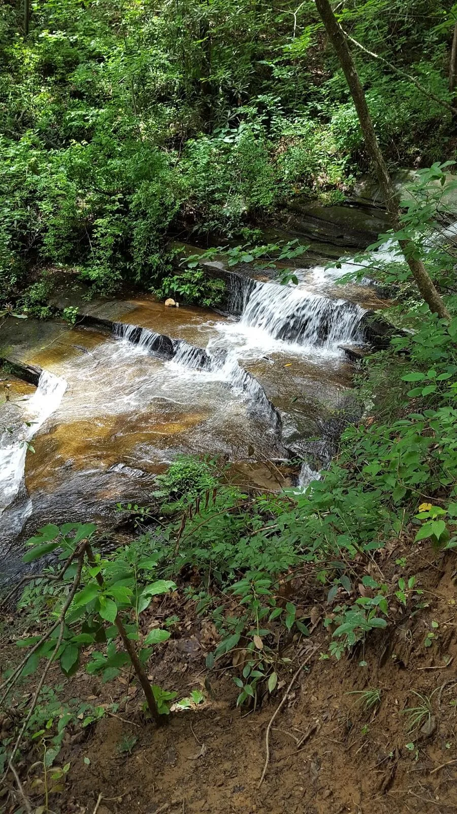 Beautiful cascading waterfall in Blue Ridge Mountains