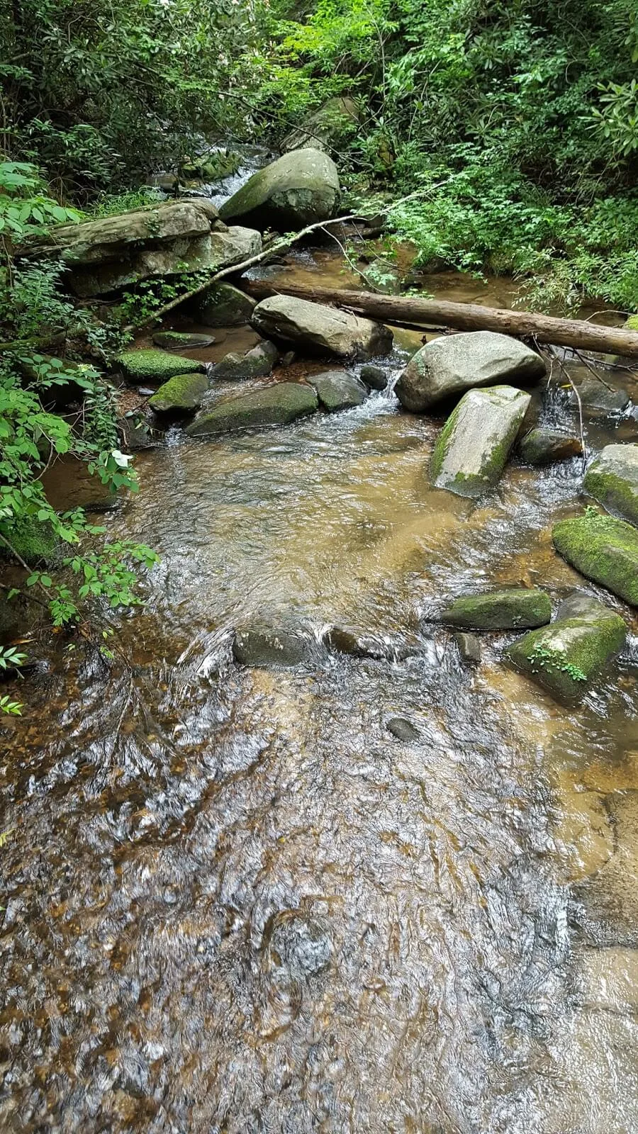 River in South Carolina mountains 