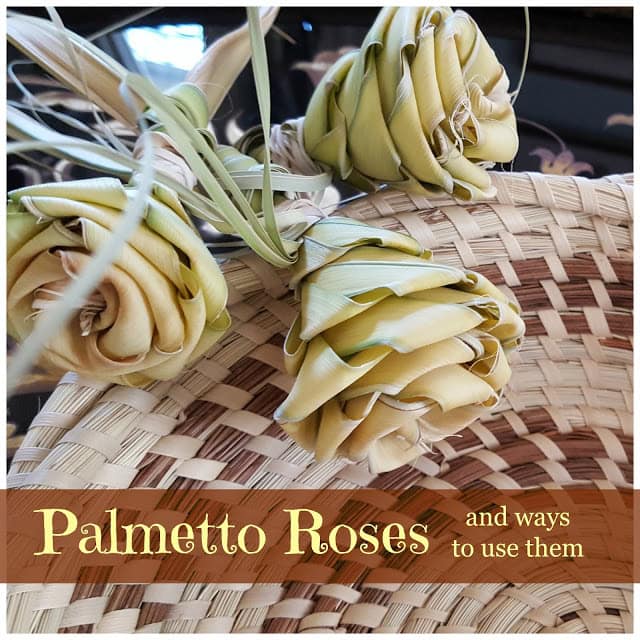 Palmetto Roses and Ways to Use Them