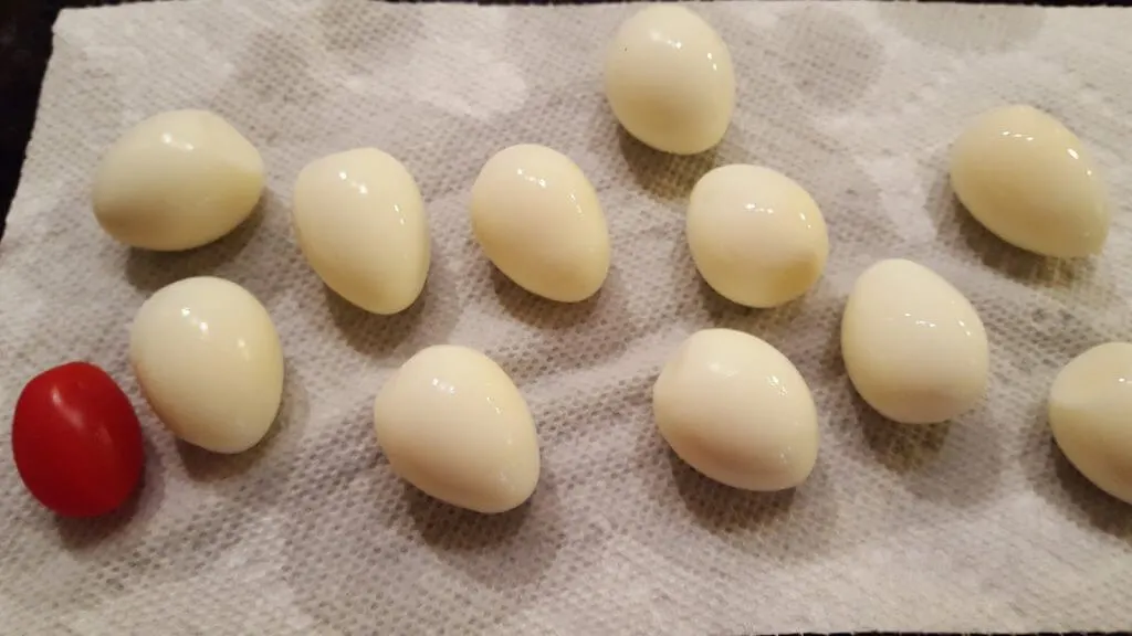 Quail egg size compared to grape tomato