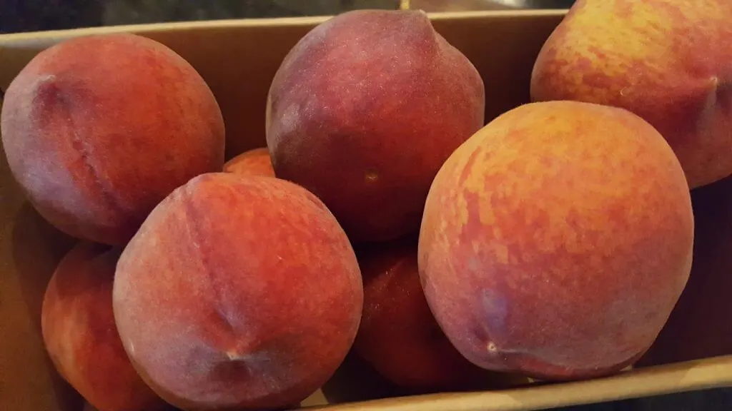 Fresh South Carolina Peaches