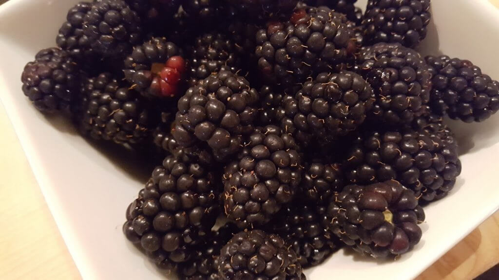 Fresh Blackberries 