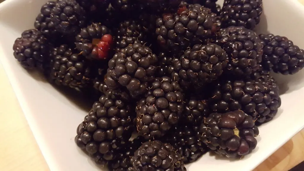 Fresh Blackberries