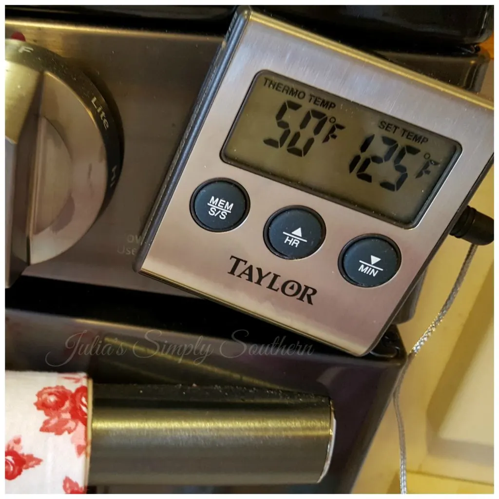 meat roasting thermometer
