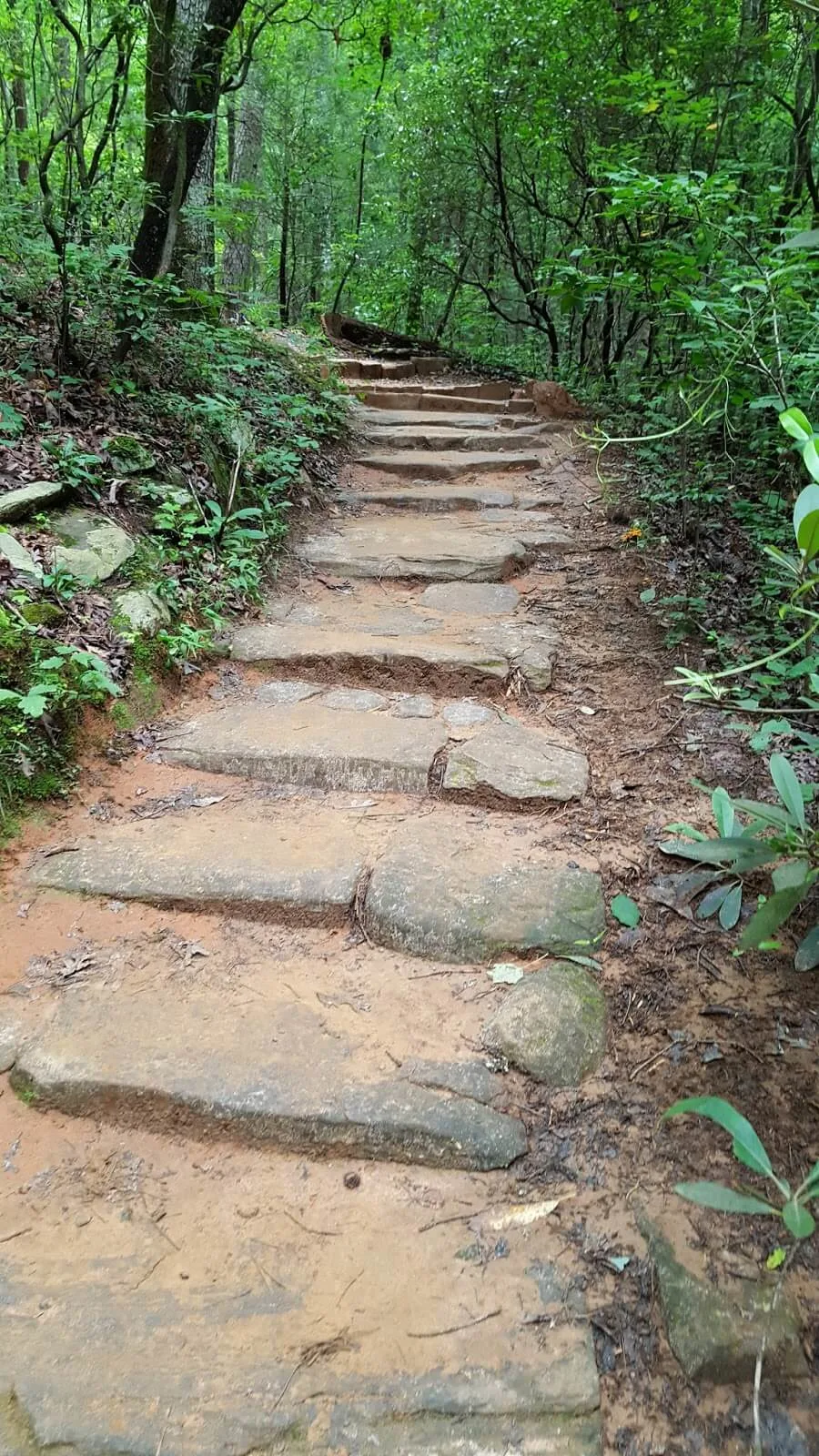 Stone steps on Carrick Creek trail - one hour hike in SC