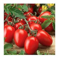 Organic Roma Tomato Seeds, 300+ Premium Heirloom Seeds!, 1 Selling Tomato Hot Pick & ON SALE!, (Isla's Garden Seeds), Non Gmo Organic, 85% Germination, Highest Quality Seeds, 100% Pure