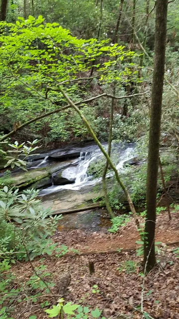 You begin your hike at an elevation of 1,160 feet at the Nature Center, and rise to 1,520 feet with numerous views of cascading waterfalls as you pass through a forest that includes a dominant oak-hickory forest - beautiful