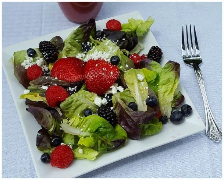 Mixed Berry Salad with Raspberry Dressing