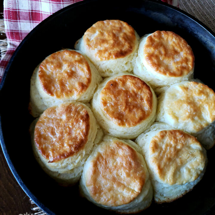 Southern Self Rising Biscuits Recipe