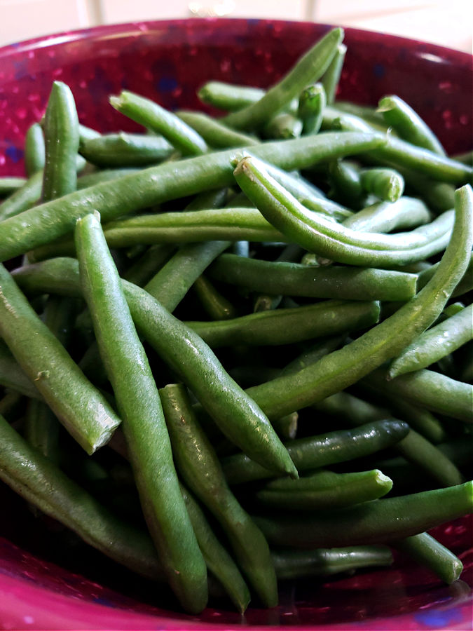 Bowl with fresh washed and trimmed green beans