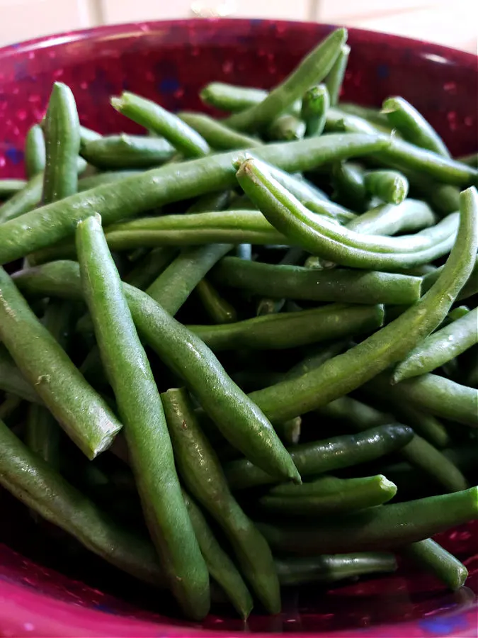 Bowl with fresh washed and trimmed green beans