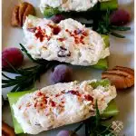 Stuffed celery recipe with chicken, cream cheese cranberry and pecan