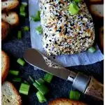 Everything seasoning Cheese Ball Appetizer recipe to serve with bagel chips and garnished with scallions