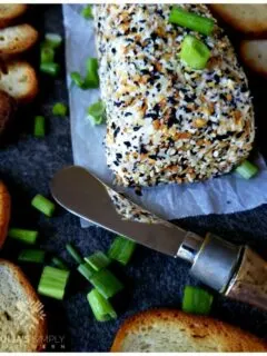 Everything seasoning Cheese Ball Appetizer recipe to serve with bagel chips and garnished with scallions