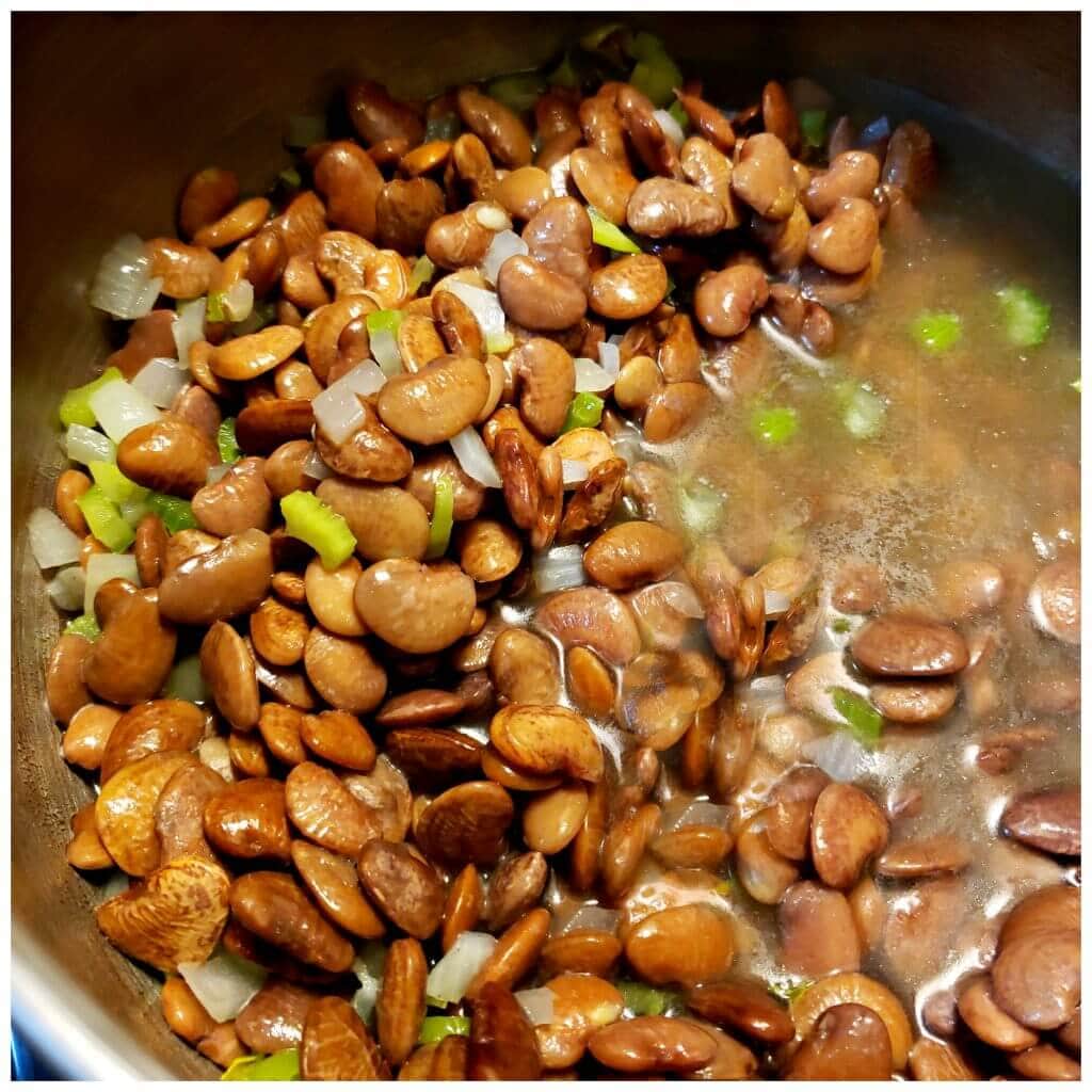 A pot of beans in broth