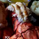 Delicious Broiled Lobster Tail Recipe seasoned with Old Bay