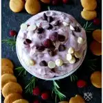 Amazing Cranberry Chocolate Chip Dip served with Vanilla Wafer Cookies