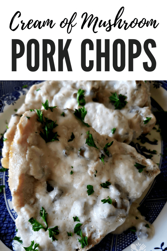 Pinterest Pork Chops Recipes