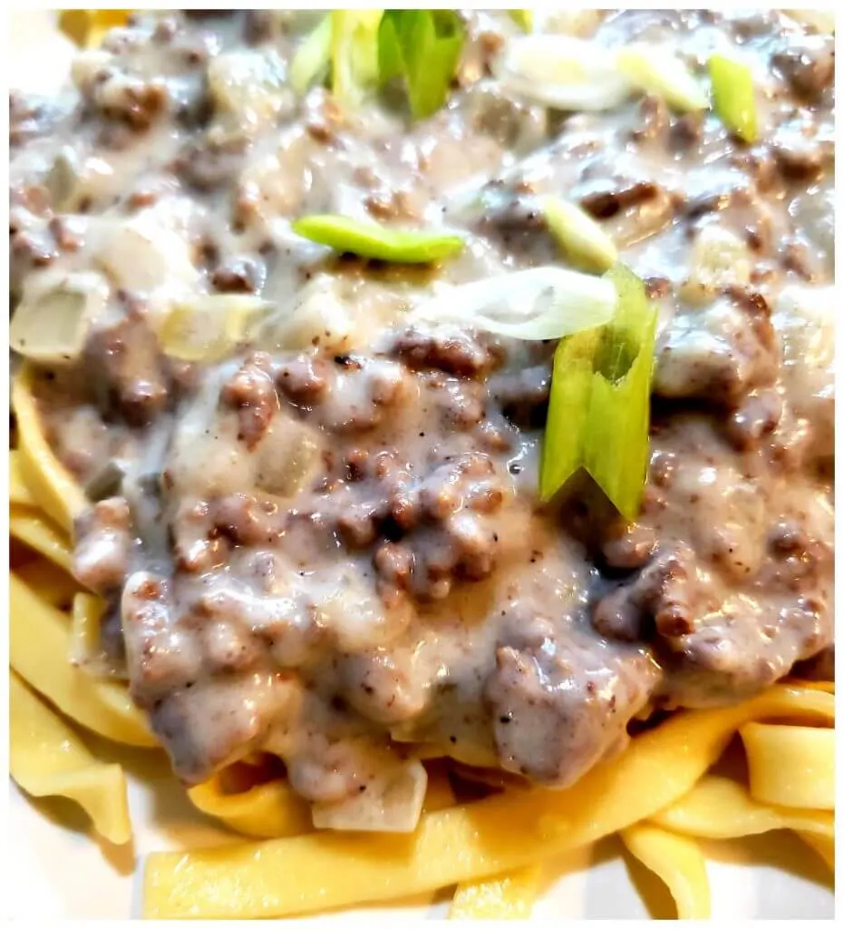 A bed of cooked noodles topped with thick creamy hamburger gravy garnished with sliced spring onion