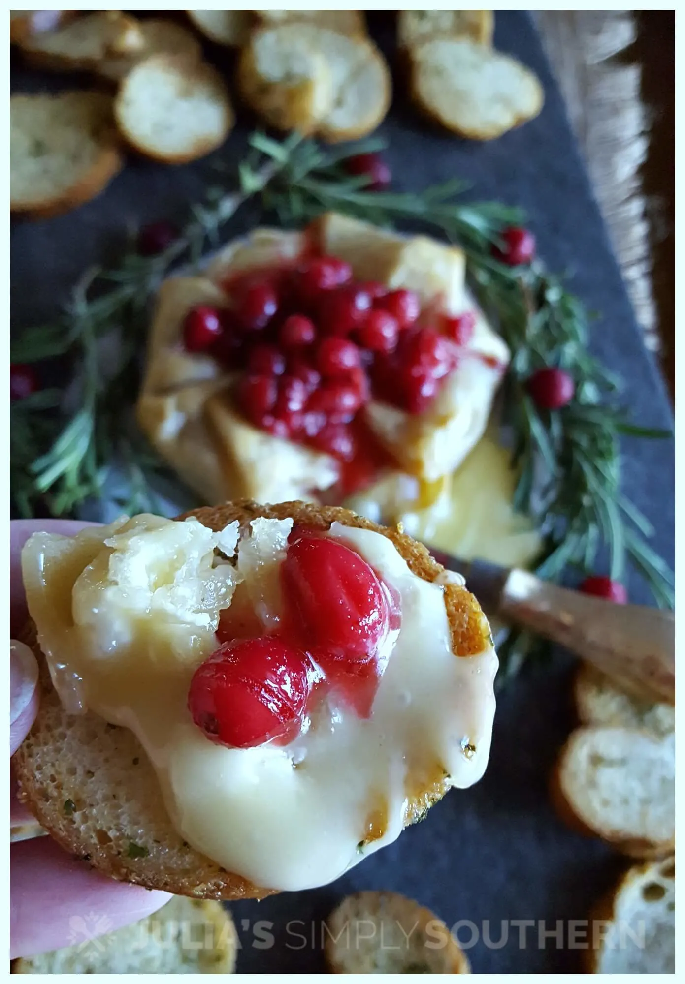Easy and Elegant Holiday appetizer recipes