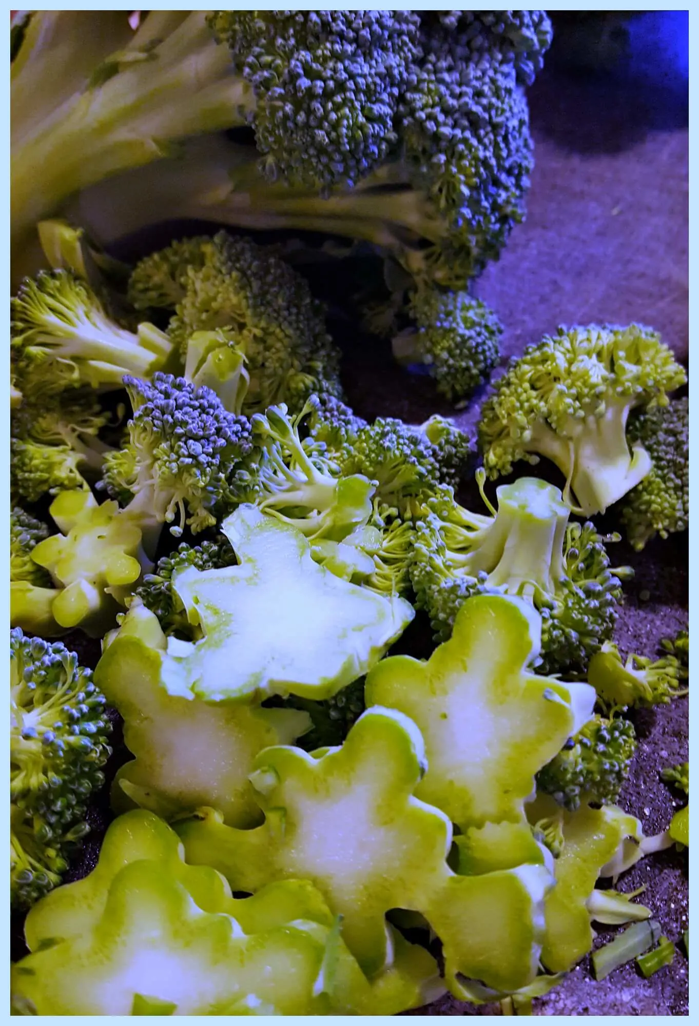 How to cut up fresh broccoli before cooking