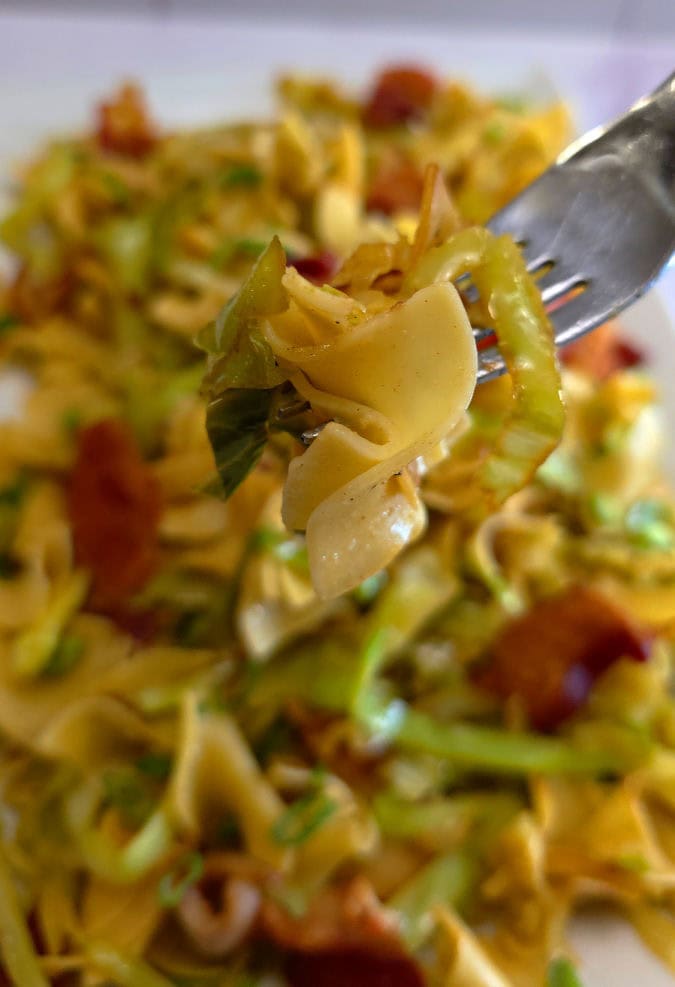 fork with bite of fried cabbage and noodles with bacon