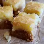 Delicious gooey bars with pecan and coconut dessert