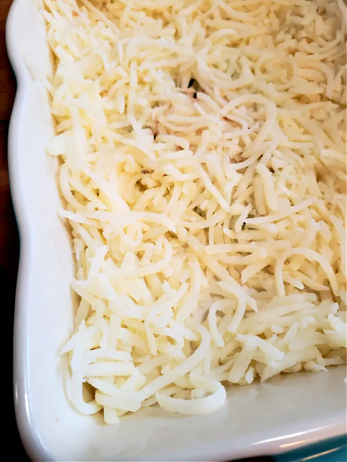 Refrigerated hash brown potatoes layered in the bottom of a casserole dish