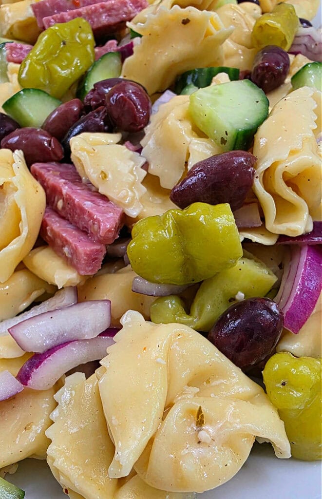 Salami, Olives, and Vegetable Pasta Salad