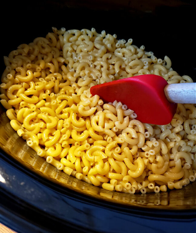 macaroni and tomatoes in crock pot