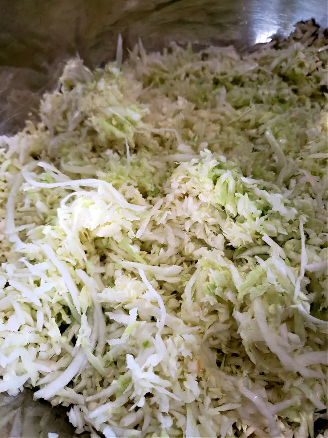Freshly grated green cabbage in a stainless mixing bowl