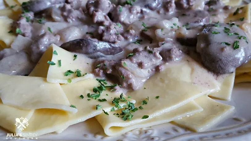 Best Beef Stroganoff with Ground Beef on a bone china plate