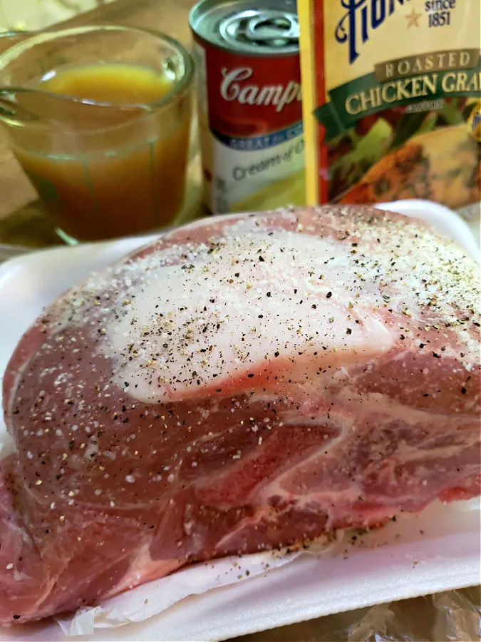 Ingredients for slow cooker pork roast recipe