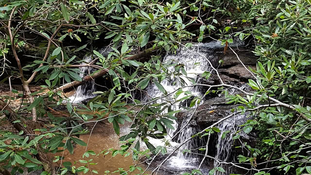 Nature of SC state parks