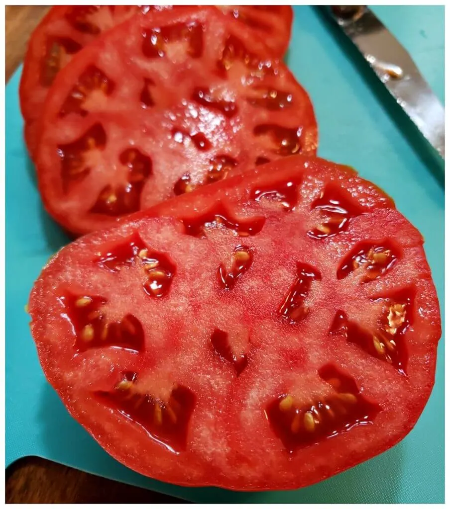 fresh tomato