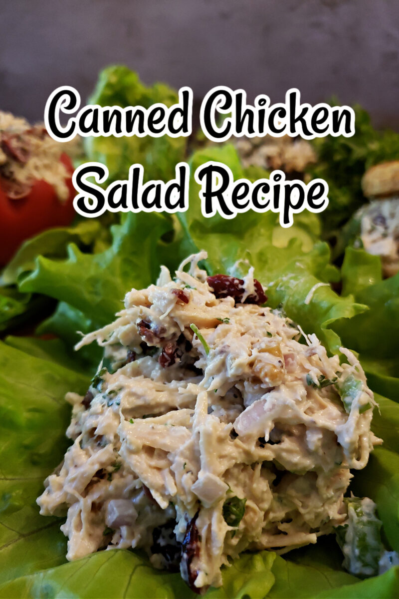 Kirkland Canned Chicken Salad Recipe - Julias Simply Southern