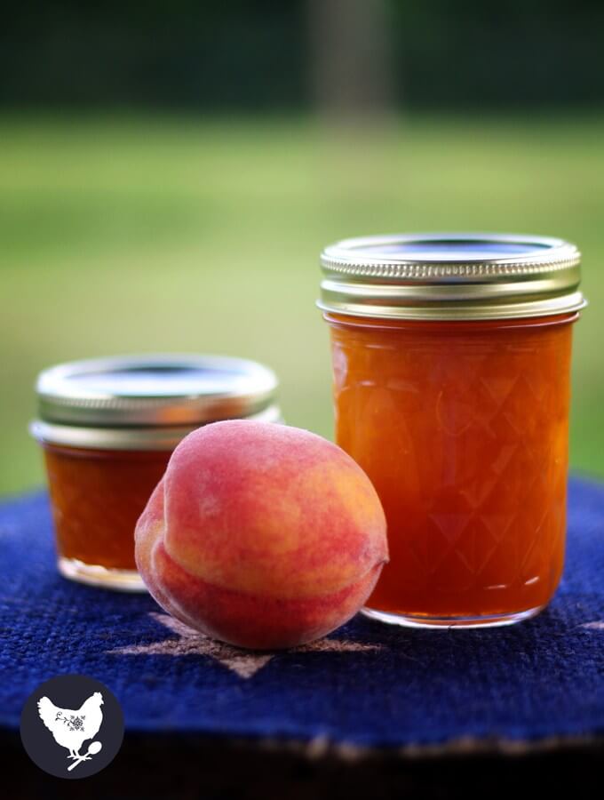 Peach Habanero Jam - Cosmopolitan Cornbread
