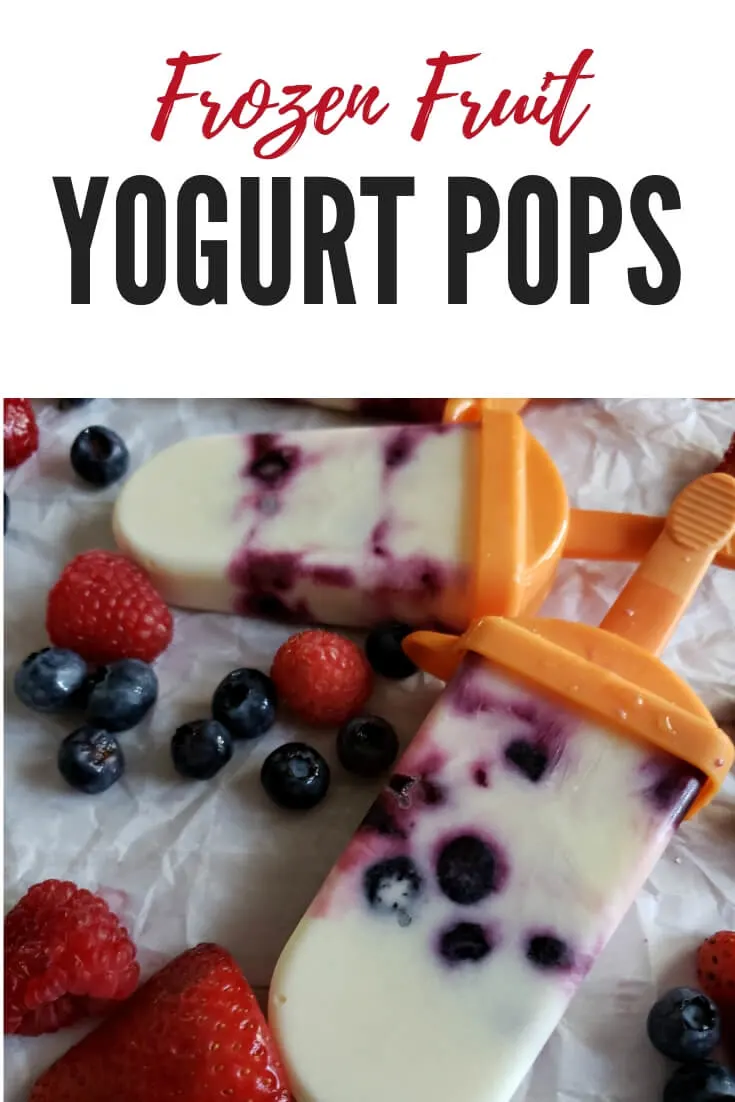 Easy Frozen Yogurt Fruit Pops