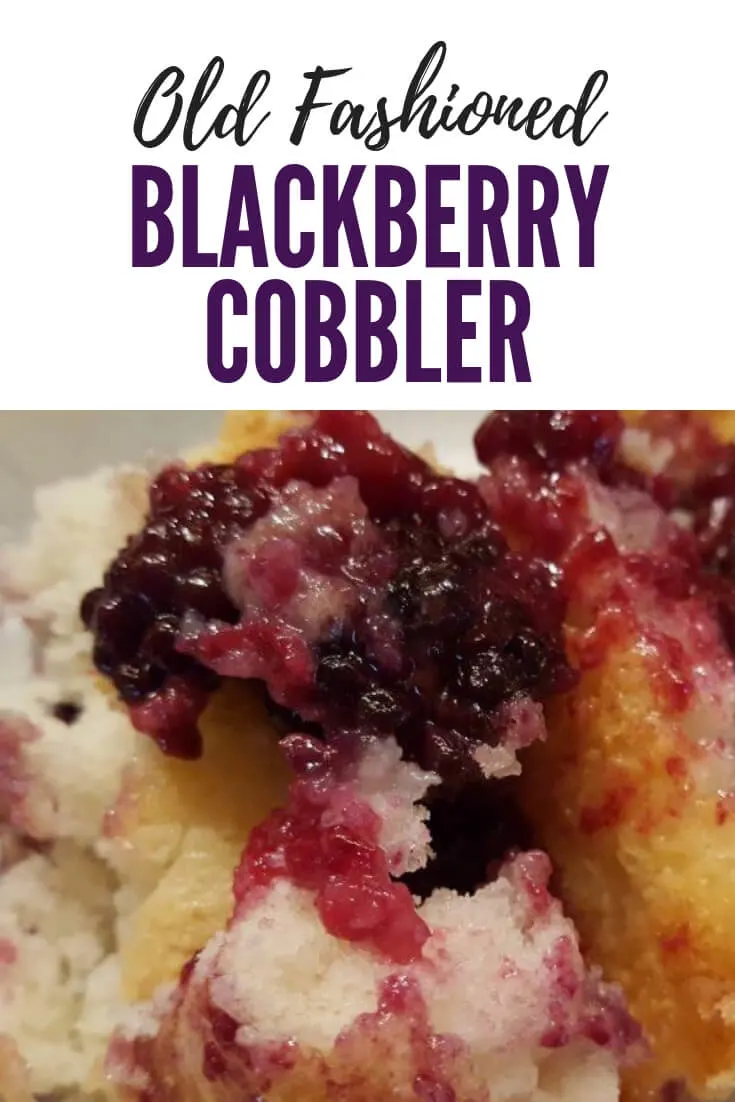 How to make old fashioned blackberry cobbler dessert with fresh berries #summer #vintagerecipes #blackberrycobbler