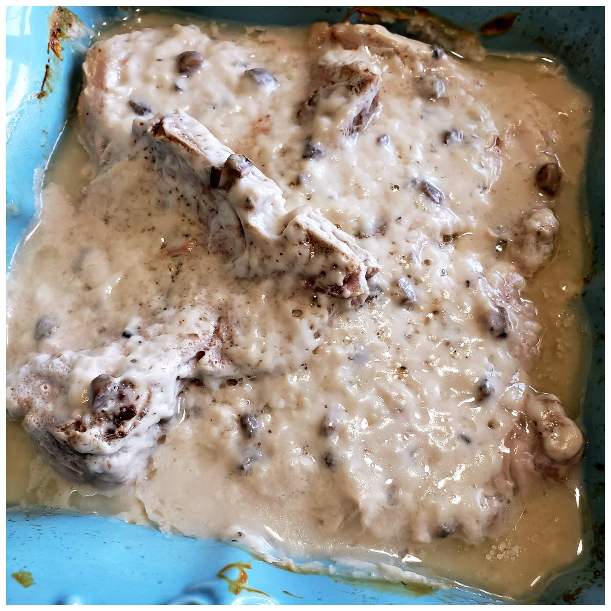 cream of mushroom pork chops