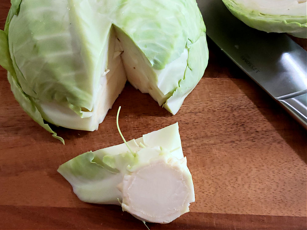 Removing the core from a head of green cabbage