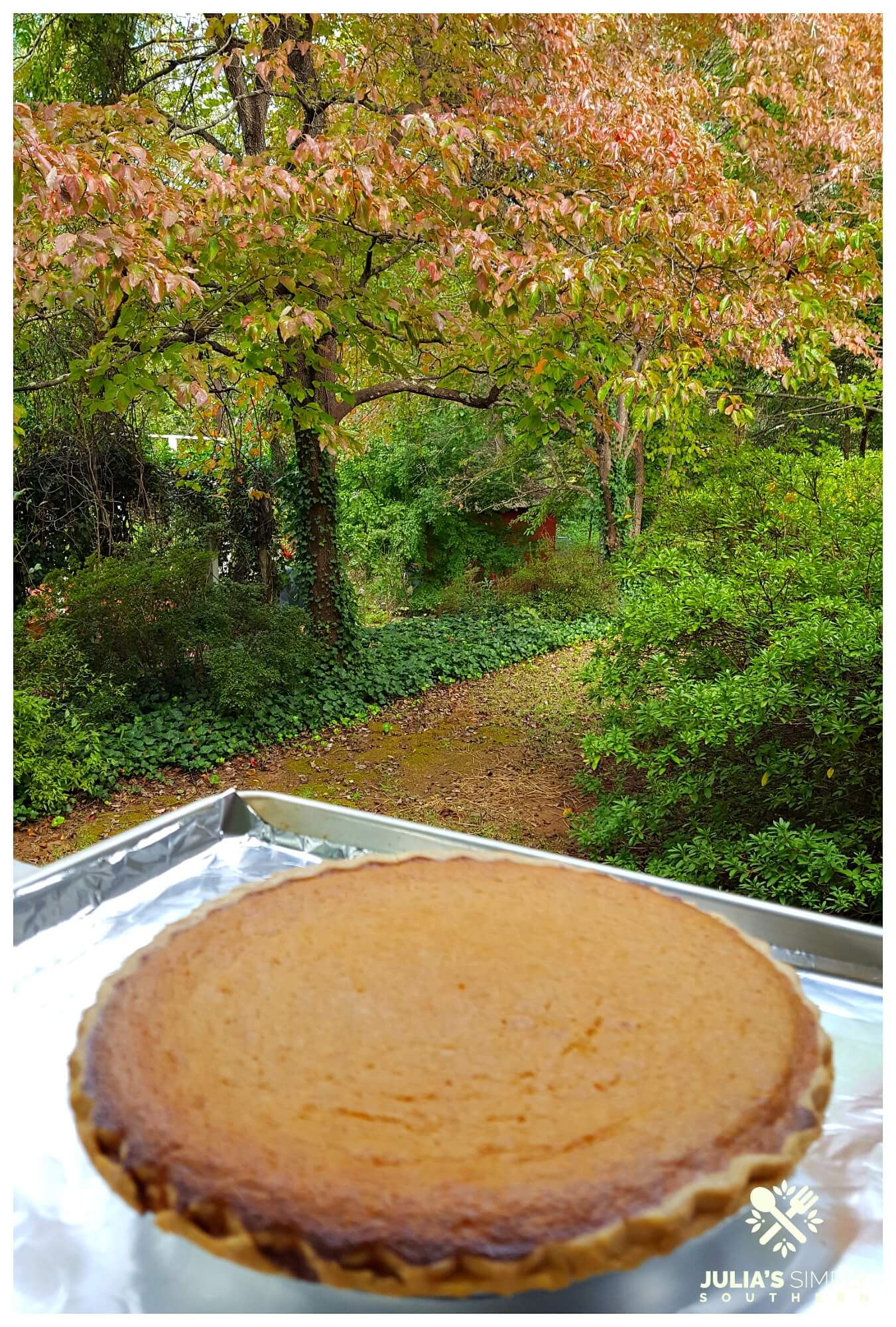 Homemade sweet potato pie cooling on a Southern porch during fall