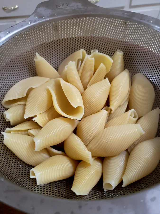 cooked jumbo pasta shells in a colander 